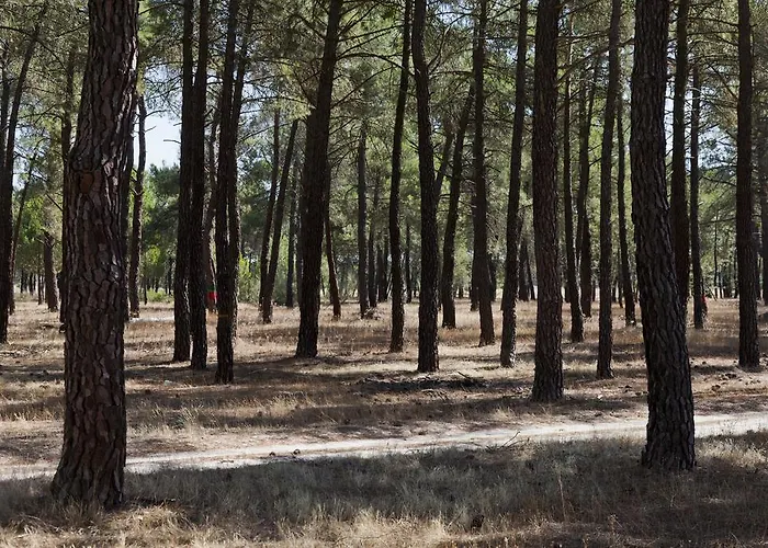 Tiara Vacaciones Nava de la Asuncion